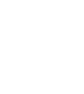 CPF Board logo